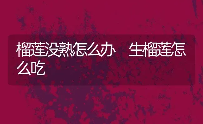 榴莲没熟怎么办 生榴莲怎么吃 | 养殖资料投稿