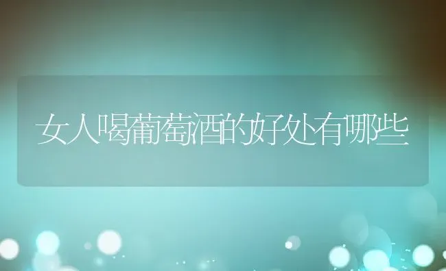 女人喝葡萄酒的好处有哪些 | 养殖资料投稿