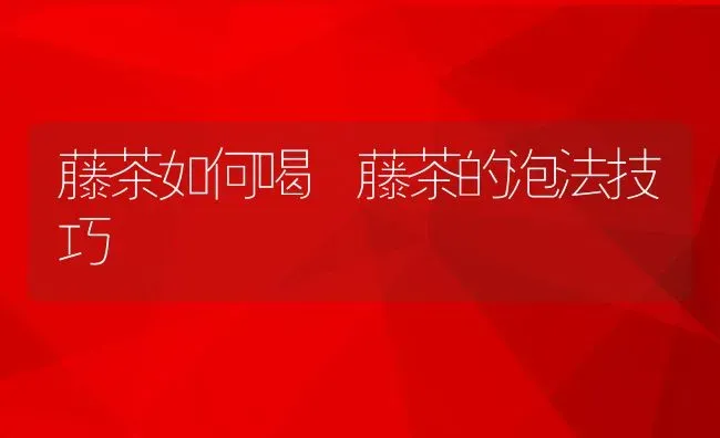 藤茶如何喝 藤茶的泡法技巧 | 养殖资料投稿