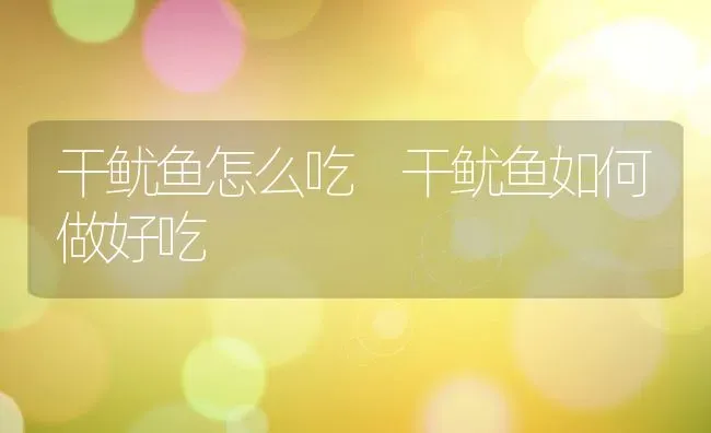 干鱿鱼怎么吃 干鱿鱼如何做好吃 | 养殖资料投稿