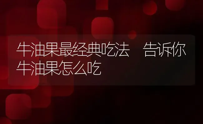 牛油果最经典吃法 告诉你牛油果怎么吃 | 养殖资料投稿