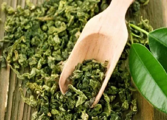 种植前景|卖茶叶一年挣个20万难吗（做茶叶生意一年赚多少钱收入）
