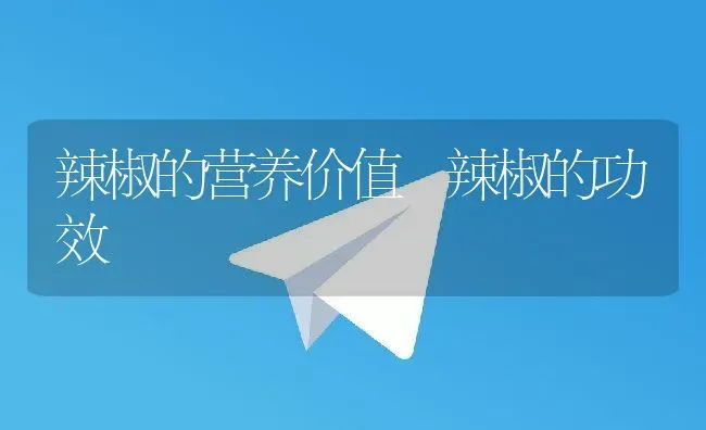 辣椒的营养价值 辣椒的功效 | 养殖资料投稿