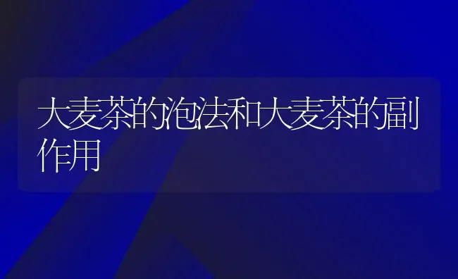 大麦茶的泡法和大麦茶的副作用 | 养殖资料投稿