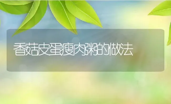 香菇皮蛋瘦肉粥的做法 | 养殖资讯