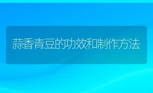 蒜香青豆的功效和制作方法 | 养殖资料投稿