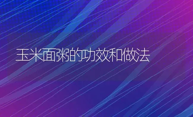 玉米面粥的功效和做法 | 养殖资讯