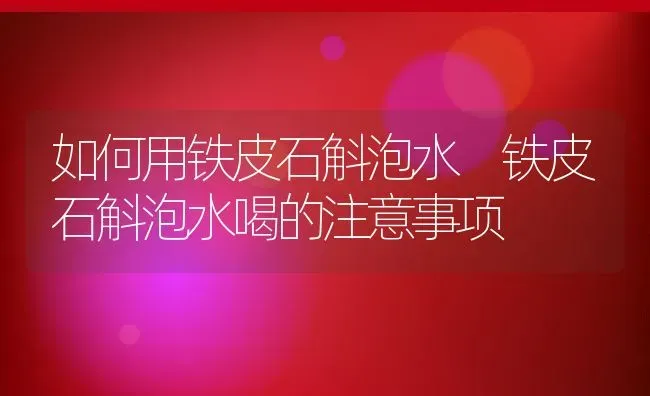 如何用铁皮石斛泡水 铁皮石斛泡水喝的注意事项 | 养殖资料投稿