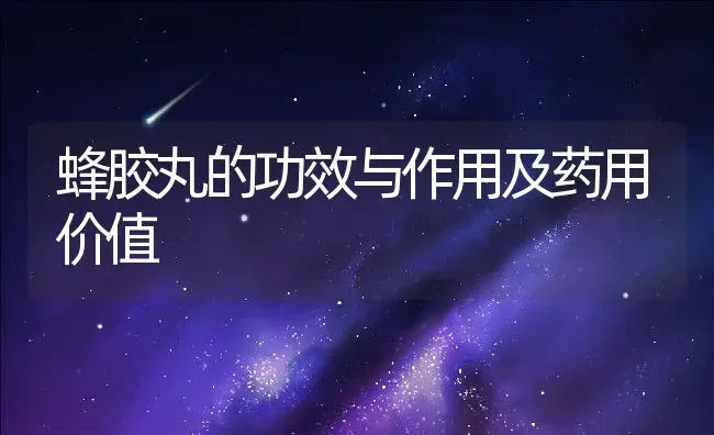 蜂胶丸的功效与作用及药用价值 | 养殖资料投稿