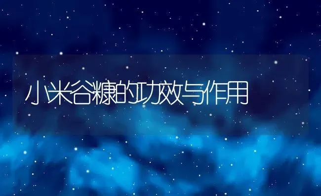 小米谷糠的功效与作用 | 养殖资料投稿