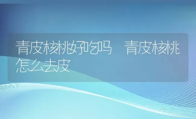 青皮核桃好吃吗 青皮核桃怎么去皮 | 养殖资料投稿