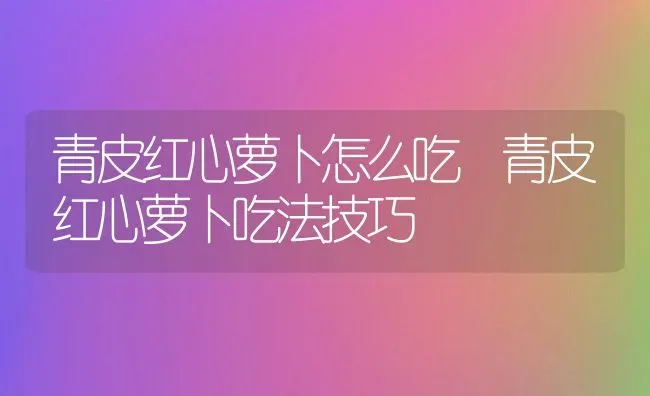 青皮红心萝卜怎么吃 青皮红心萝卜吃法技巧 | 养殖资料投稿