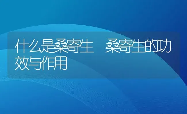 什么是桑寄生 桑寄生的功效与作用 | 养殖资料投稿