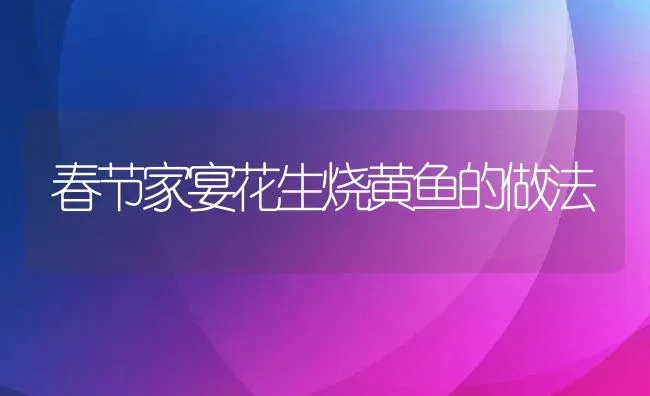 春节家宴花生烧黄鱼的做法 | 养殖资料投稿