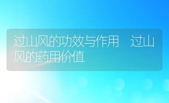 过山风的功效与作用 过山风的药用价值 | 养殖资料投稿