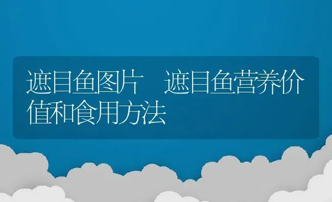 遮目鱼图片 遮目鱼营养价值和食用方法 | 养殖资料投稿