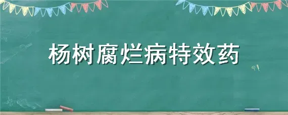 杨树腐烂病特效药