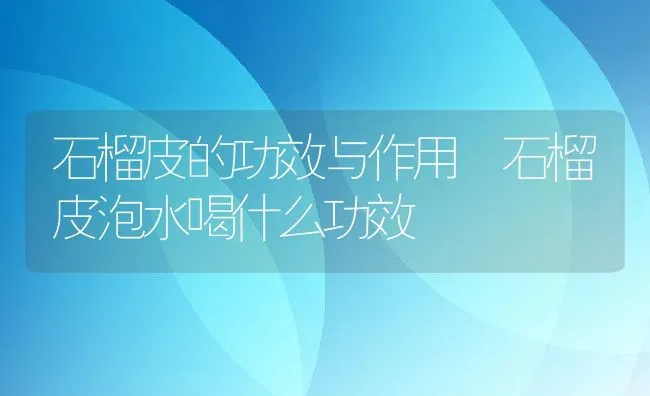 石榴皮的功效与作用 石榴皮泡水喝什么功效 | 养殖资料投稿