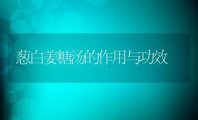 葱白姜糖汤的作用与功效 | 养殖资料投稿