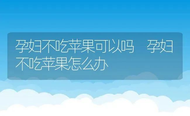 孕妇不吃苹果可以吗 孕妇不吃苹果怎么办 | 养殖资料投稿