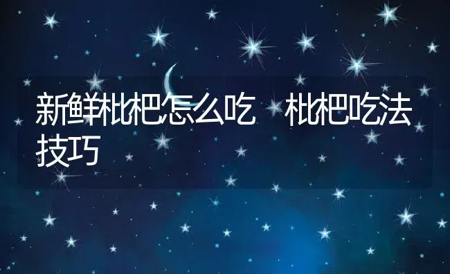 新鲜枇杷怎么吃 枇杷吃法技巧 | 养殖资料投稿