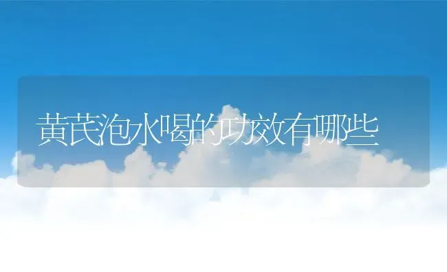 黄芪泡水喝的功效有哪些 | 养殖资料投稿