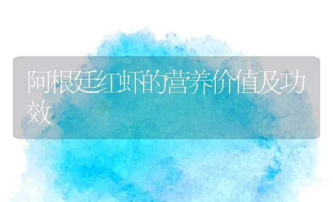 阿根廷红虾的营养价值及功效 | 养殖资料投稿