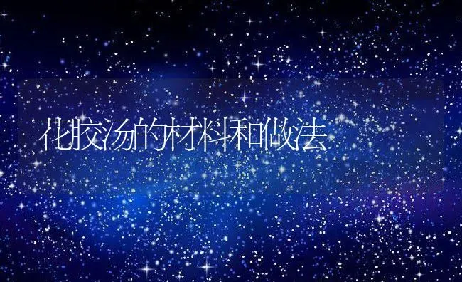 花胶汤的材料和做法 | 养殖资料投稿