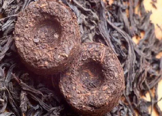 种植前景|卖茶叶一年挣个20万难吗（做茶叶生意一年赚多少钱收入）