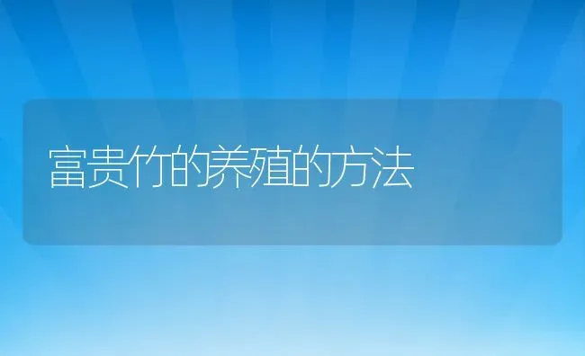 富贵竹的养殖的方法 | 养殖资料投稿