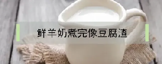 鲜羊奶煮完像豆腐渣