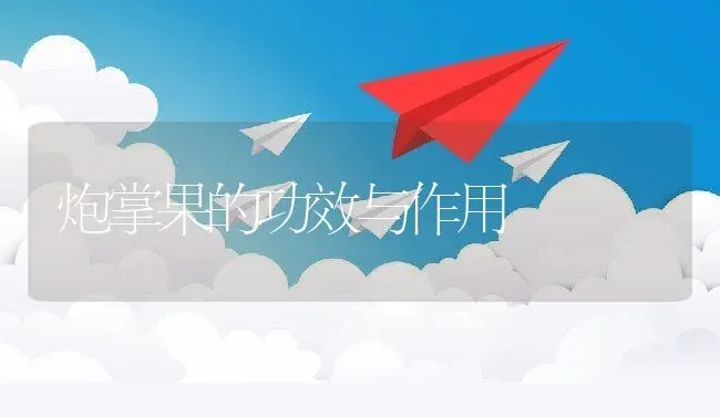 炮掌果的功效与作用 | 养殖资料投稿