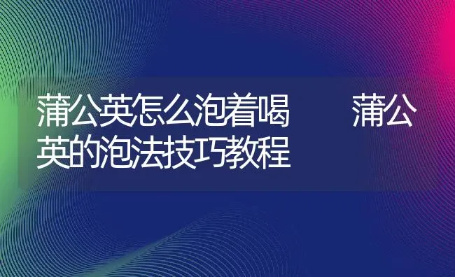 蒲公英怎么泡着喝  蒲公英的泡法技巧教程 | 养殖资料投稿