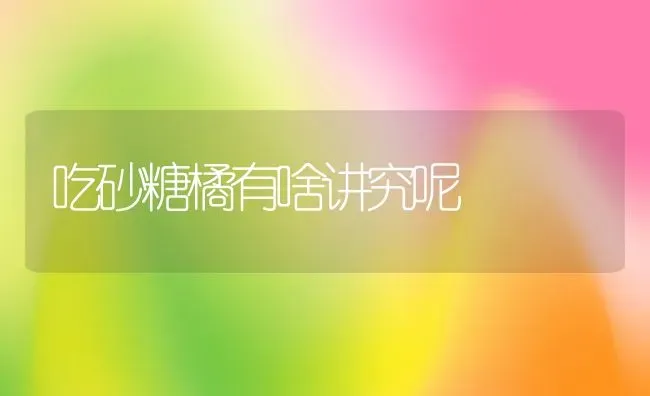 吃砂糖橘有啥讲究呢 | 养殖资料投稿