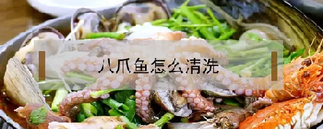 八爪鱼怎么清洗