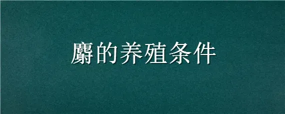 麝的养殖条件
