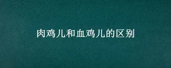 肉鸡儿和血鸡儿的区别