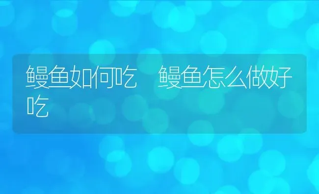 鳗鱼如何吃 鳗鱼怎么做好吃 | 养殖资料投稿