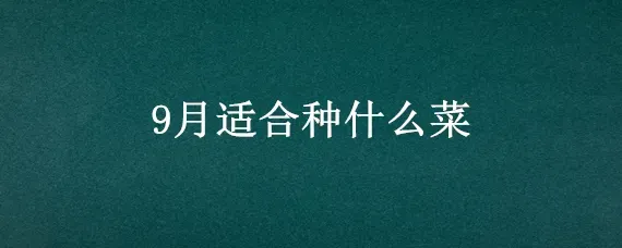 9月适合种什么菜