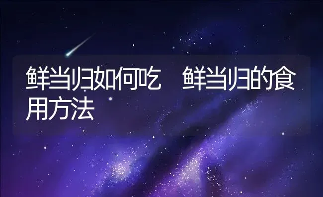 鲜当归如何吃 鲜当归的食用方法 | 养殖资料投稿