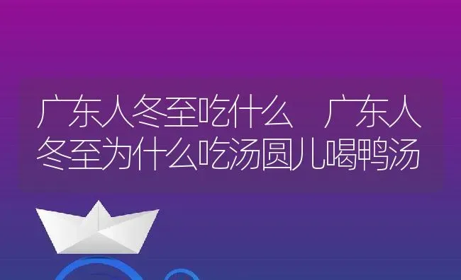 广东人冬至吃什么 广东人冬至为什么吃汤圆儿喝鸭汤 | 养殖资料投稿