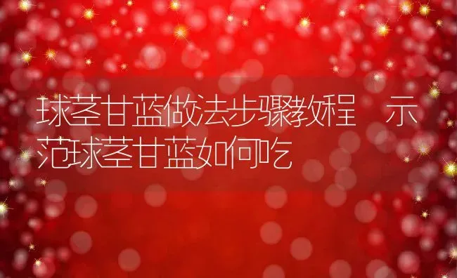 球茎甘蓝做法步骤教程 示范球茎甘蓝如何吃 | 养殖资料投稿