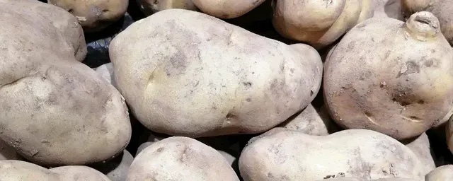 土豆保存方法