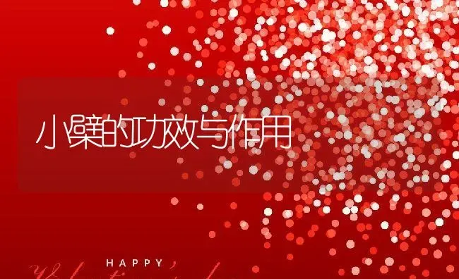 小檗的功效与作用 | 养殖资料投稿