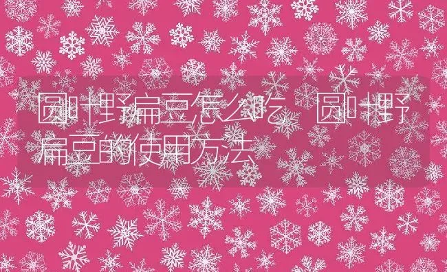 圆叶野扁豆怎么吃 圆叶野扁豆的使用方法 | 养殖资料投稿