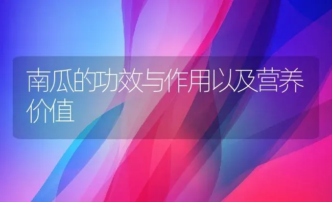 南瓜的功效与作用以及营养价值 | 养殖资料投稿