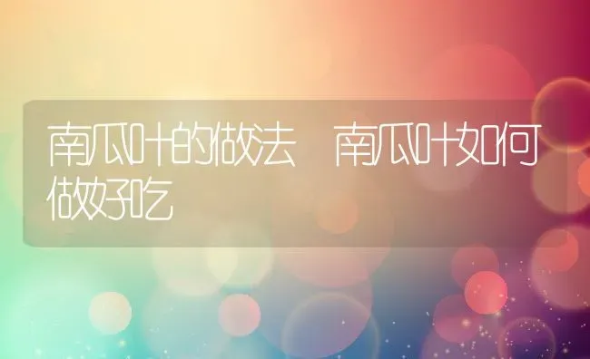 南瓜叶的做法 南瓜叶如何做好吃 | 养殖资料投稿