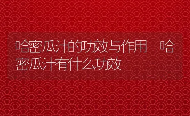 哈密瓜汁的功效与作用 哈密瓜汁有什么功效 | 养殖资料投稿