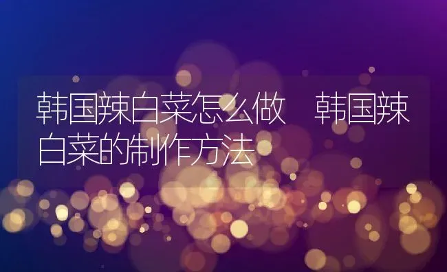 韩国辣白菜怎么做 韩国辣白菜的制作方法 | 养殖资料投稿