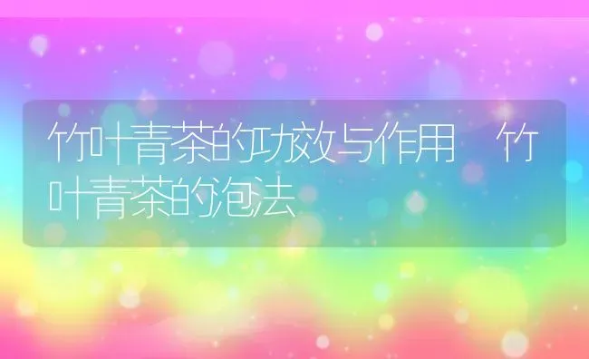 竹叶青茶的功效与作用 竹叶青茶的泡法 | 养殖资料投稿